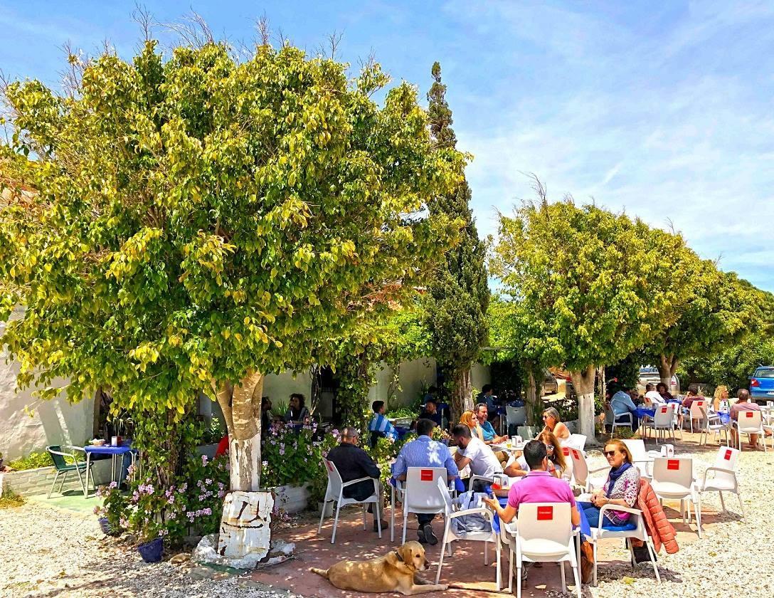 Hospederia Restaurante Tarin Hotel Los Canos De Meca Kültér fotó